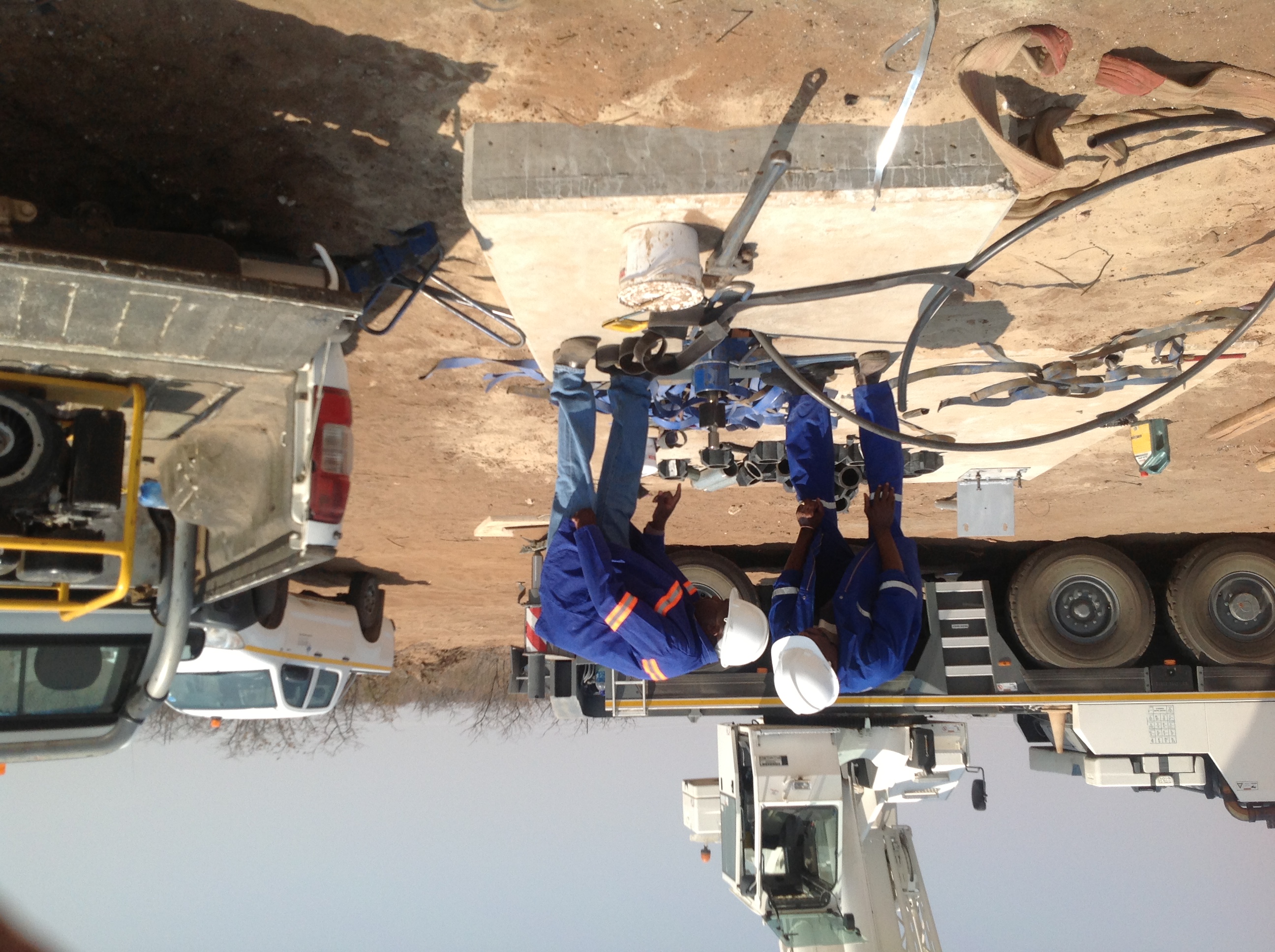 Plant Inspection and Reporting
