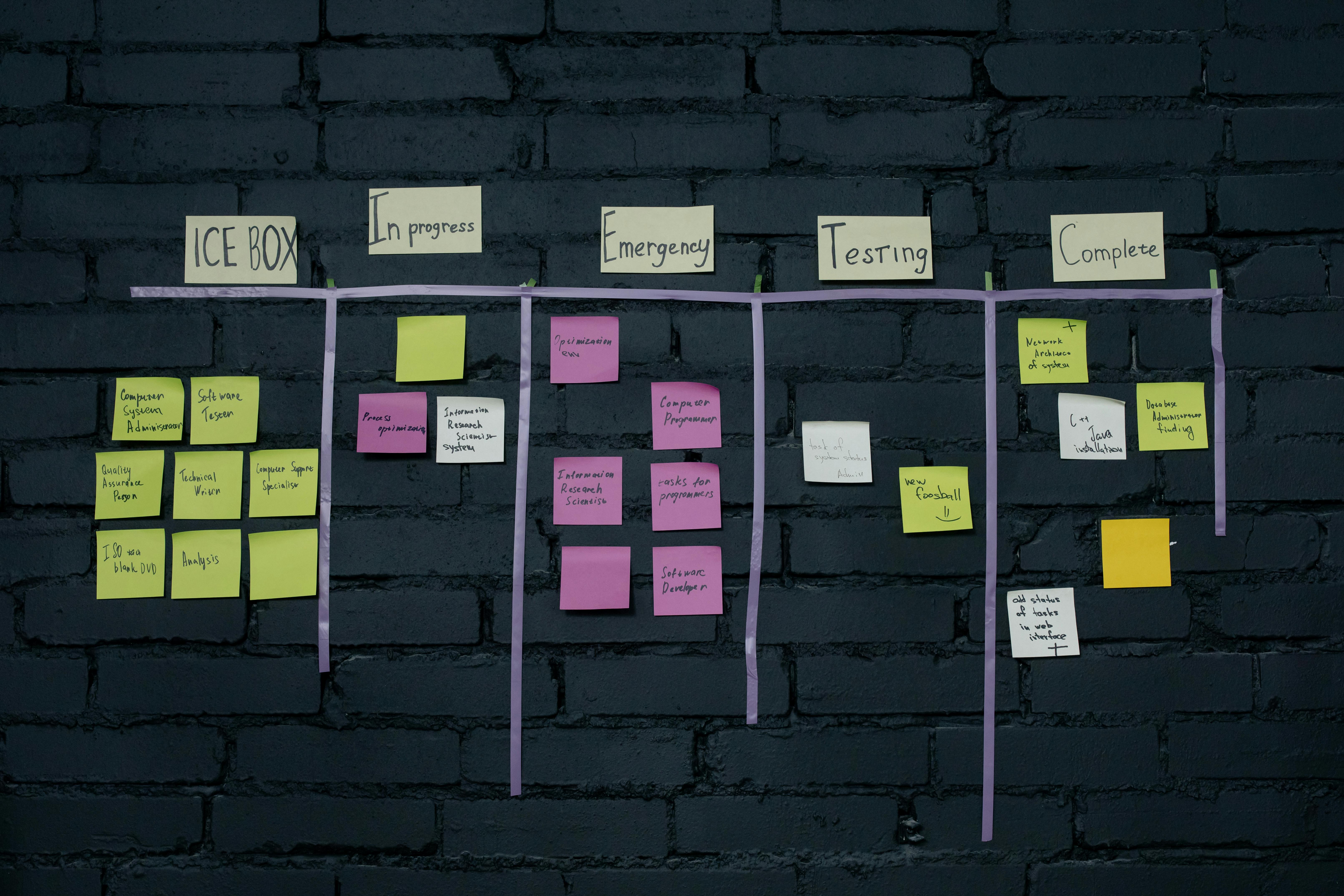 Project Life Cycle